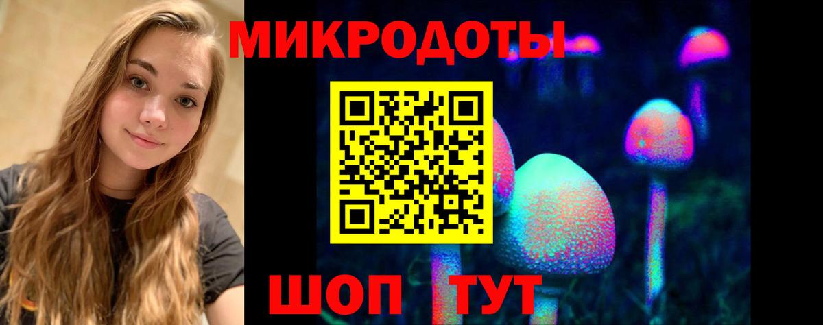 Псилоцибиновые грибы Psilocybe  Вход с VPN  Северобайкальск 